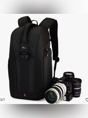 Lowepro Flipside 300 Camera Backpack